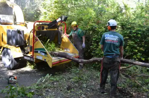 tree services Crest Hill